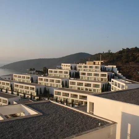 Horizon Sky Lemon 8 Kıyıkıslacık