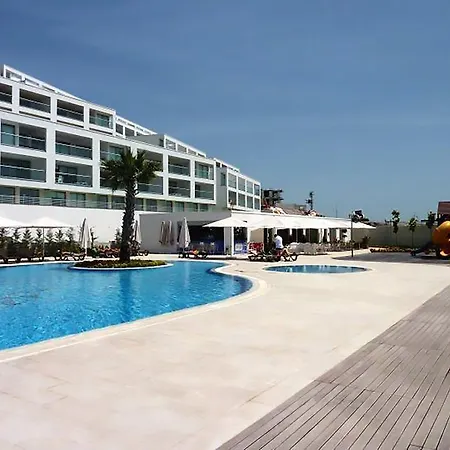 Horizon Sky Lemon 8 *